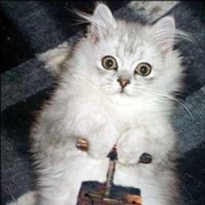 Test Produit Pierre